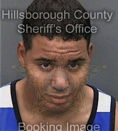 Robert Moritz, - Hillsborough County, FL 