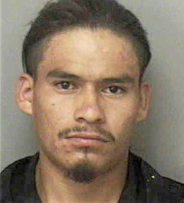 Luis Pinada, - Polk County, FL 