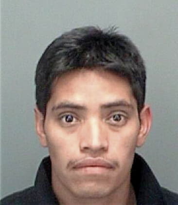 Luis Arizagajimenez, - Pinellas County, FL 