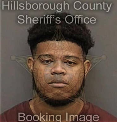 Derrick Depalmer, - Hillsborough County, FL 