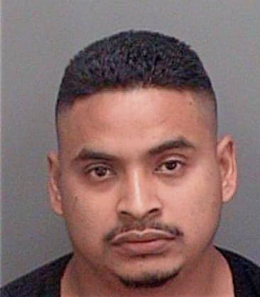 Antonio Espanolpena, - Pinellas County, FL 