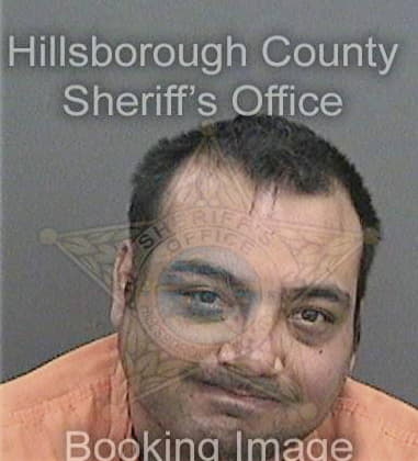 Ryan Lannom, - Hillsborough County, FL 