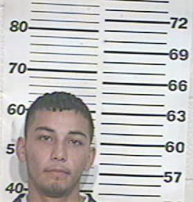 Aurelio-Medina Patino, - Hidalgo County, TX 