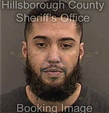 Livan Ruiz, - Hillsborough County, FL 