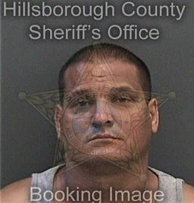 Reinaldo Zamora, - Hillsborough County, FL 