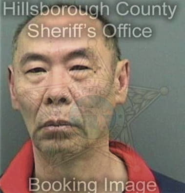 Ahmed Alswer, - Hillsborough County, FL 