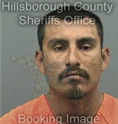 George Bonelli - Hillsborough County, FL 
