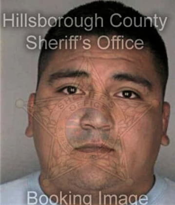 Ramon Garciavillanueva, - Hillsborough County, FL 