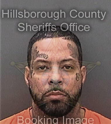 David Gay, - Hillsborough County, FL 