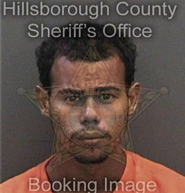 Michael Lowe, - Hillsborough County, FL 