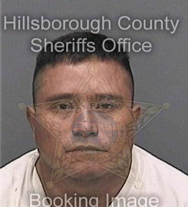 Timothy Roemeling, - Hillsborough County, FL 