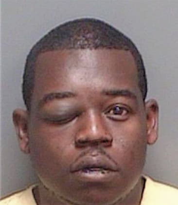 Lamar Anderson, - Pinellas County, FL 