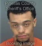 Aafaq Azhar, - Pinellas County, FL 