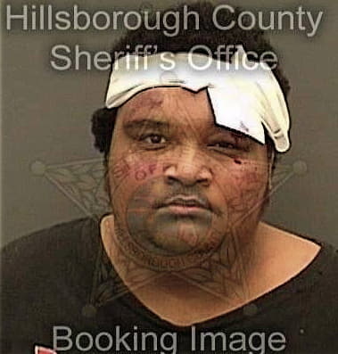 Roymelio Brown, - Hillsborough County, FL 