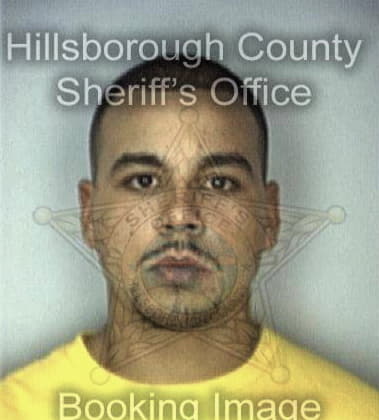 Miguel Diazhernandez, - Hillsborough County, FL 