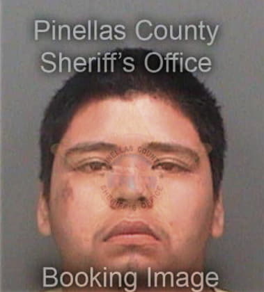 Tomas Hernandezgarcia, - Pinellas County, FL 