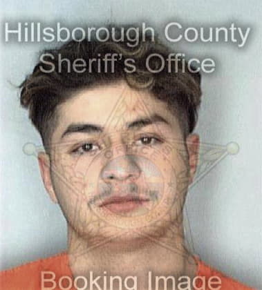 Harry McQuinn - Hillsborough County, FL 