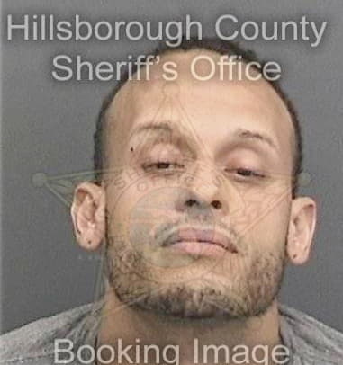 Ryan Miller - Hillsborough County, FL 