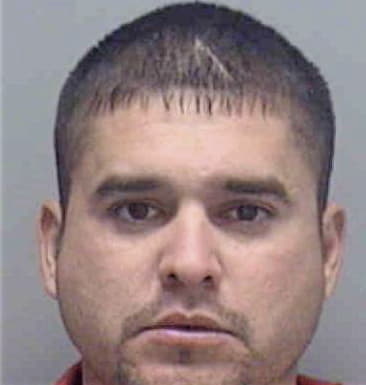 Michael Milone, - Lee County, FL 