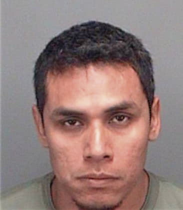 Gabriel Perez, - Pinellas County, FL 