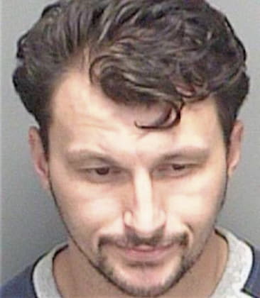 Andrew Spiccia - Pinellas County, FL 