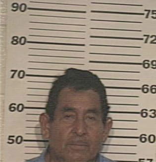 David Torres, - Hidalgo County, TX 