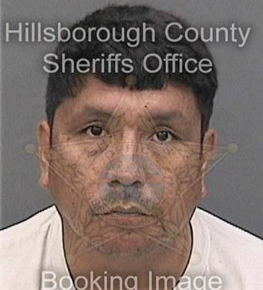 Hengley Albert, - Hillsborough County, FL 