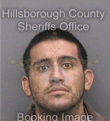 Guillermo Padronmorales, - Hillsborough County, FL 