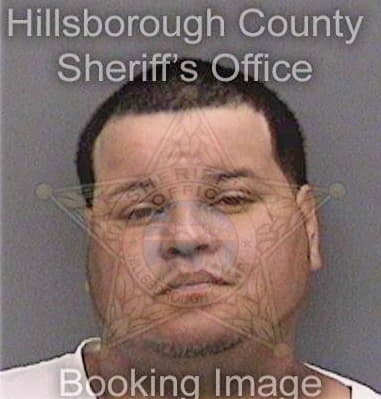 David Pritchett, - Hillsborough County, FL 