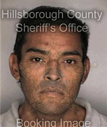 Jeffrey Rhodaback, - Hillsborough County, FL 