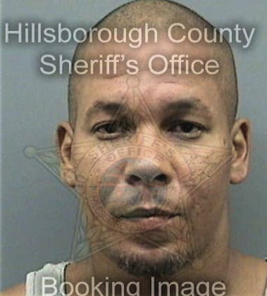 Michael Jasper, - Hillsborough County, FL 