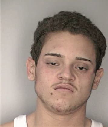 Glenn Mercer - Hillsborough County, FL 