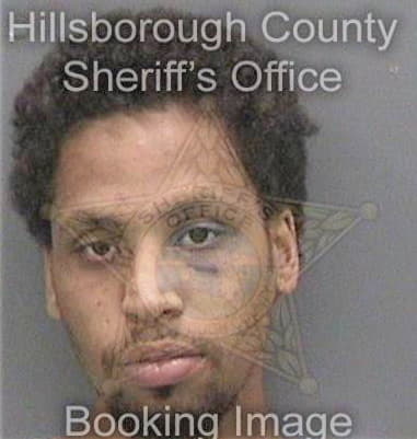 Jaime Navarettemguerro, - Hillsborough County, FL 