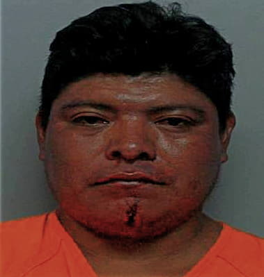 Arlen Portillo, - Polk County, FL 