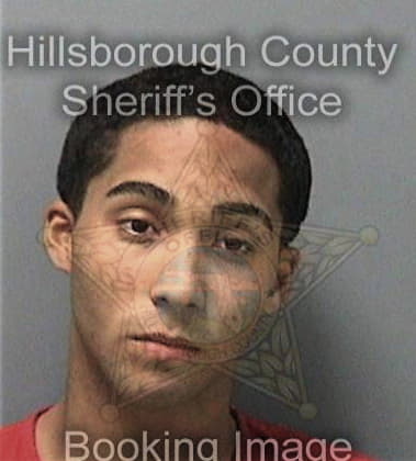 Mohamed Alkhalidi, - Hillsborough County, FL 