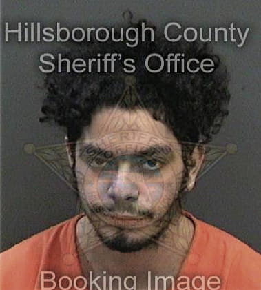 Jonathan Callaway, - Hillsborough County, FL 