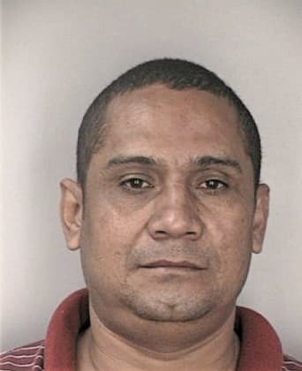 Nicolas Hernandez - Hillsborough County, FL 