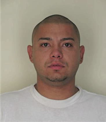 Hector Martinezrodriguez, - Hillsborough County, FL 