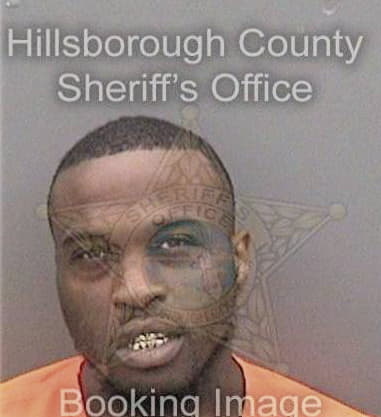 William Middlebrooks - Hillsborough County, FL 