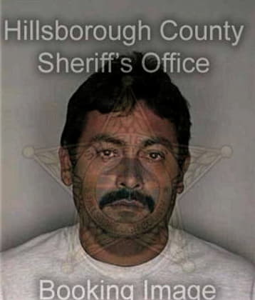 Mario Ramirez, - Hillsborough County, FL 