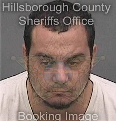 Wenceslao Vasquez, - Hillsborough County, FL 