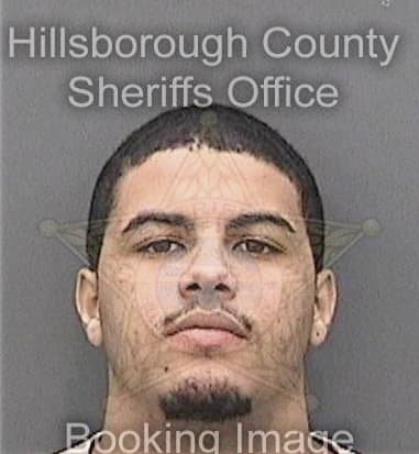 Michael Brown, - Hillsborough County, FL 