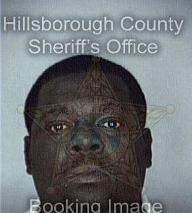 Sedrick Brown, - Hillsborough County, FL 