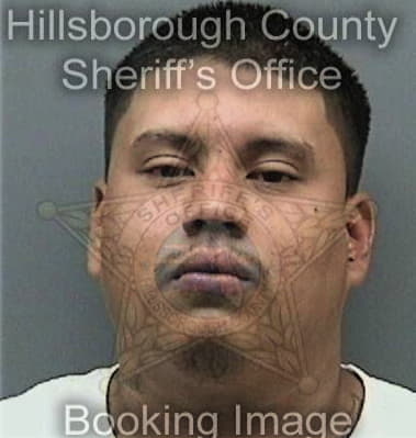 Michael Donohue, - Hillsborough County, FL 