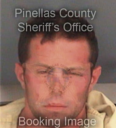 Acensico Hernandez, - Pinellas County, FL 