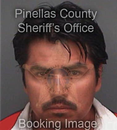 Noe Perezcallejas, - Pinellas County, FL 