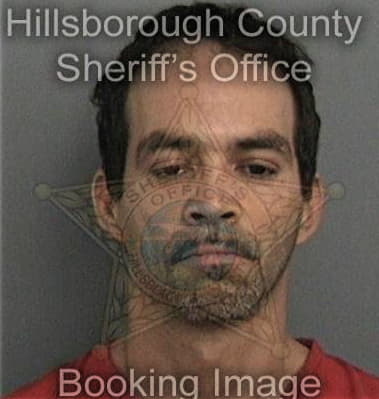 Michael Sides, - Hillsborough County, FL 