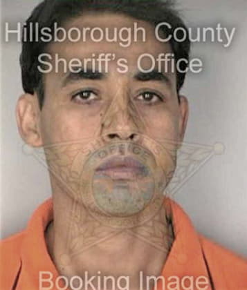 Timothy Simmons, - Hillsborough County, FL 