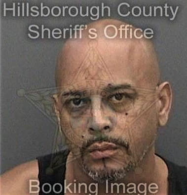 Felix Valera-Gonzalez, - Hillsborough County, FL 