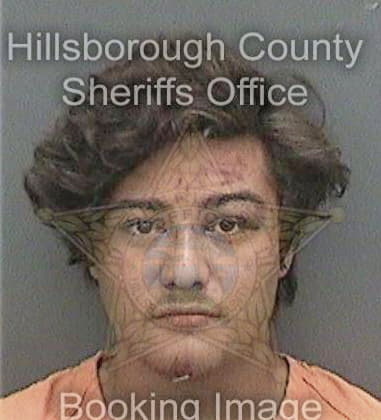 Dylan Airhart, - Hillsborough County, FL 